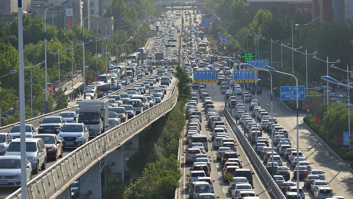 Khám phá vùng đất phong phú của gấu trúc ở Tứ Xuyên 5