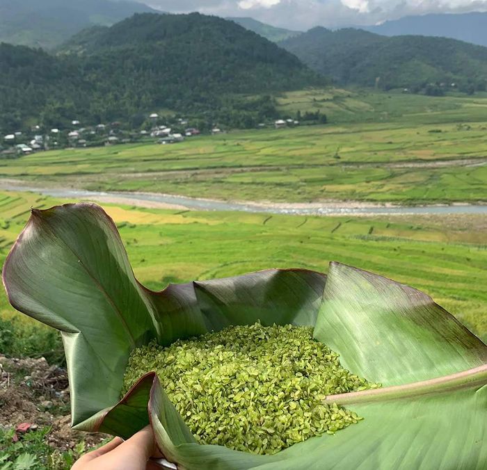 Khám phá Mù Cang Chải 3 ngày 2 đêm và những kỷ niệm khó phai 3