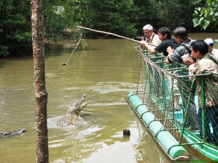 Trở về với tự nhiên tại khu du lịch sinh thái Vàm Sát Cần Giờ 10