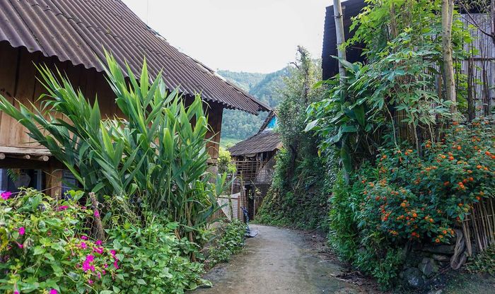 Chương trình khám phá Tú Lệ - Mù Cang Chải trong 3 ngày dành cho đội ngũ mê phượt 10