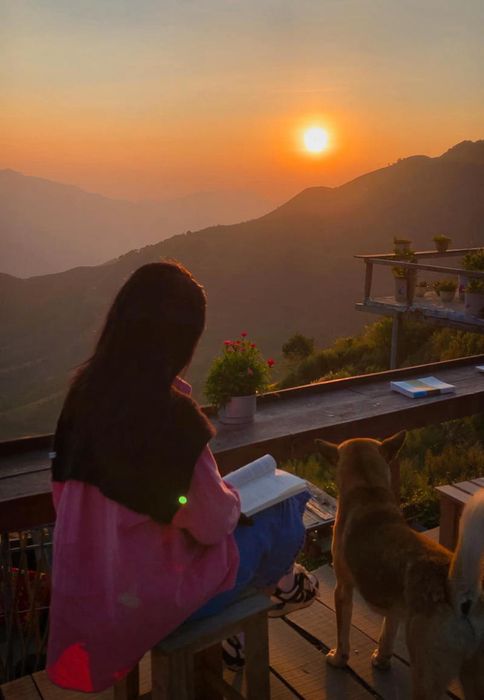 Tìm về Tà Xùa để tìm kiếm chút bình yên giữa cuộc sống ồn ào của thành phố.