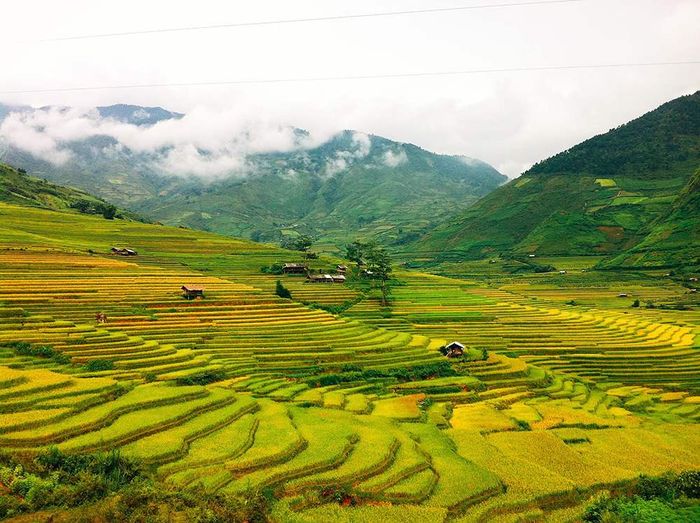 Bí quyết du lịch Mù Cang Chải tự túc từ A đến Z 9