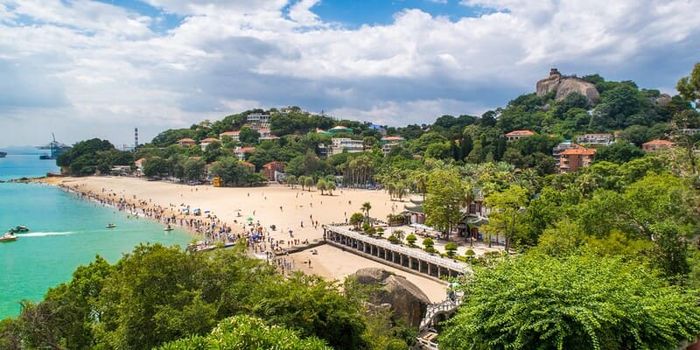 Hạ Môn Trung Quốc, một thành phố biển đẹp ngọt ngào