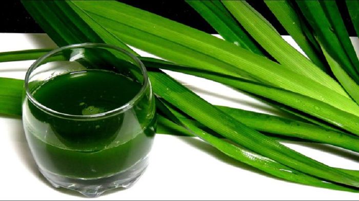 Bánh chim gâu Yên Bái mang hương vị mộc mạc, giản dị khiến người thưởng thức nhớ mãi.