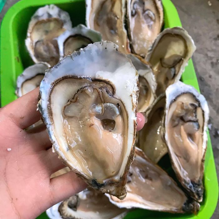 Cảm nhận hương vị thơm ngon và béo ngậy tự nhiên từ món hàu đút lò Vũng Tàu.