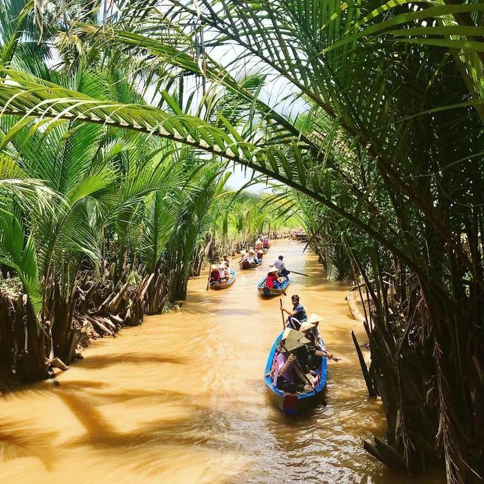 Đừng bỏ lỡ Bí quyết du lịch tự túc Cồn Phụng - Cồn Thới Sơn 4