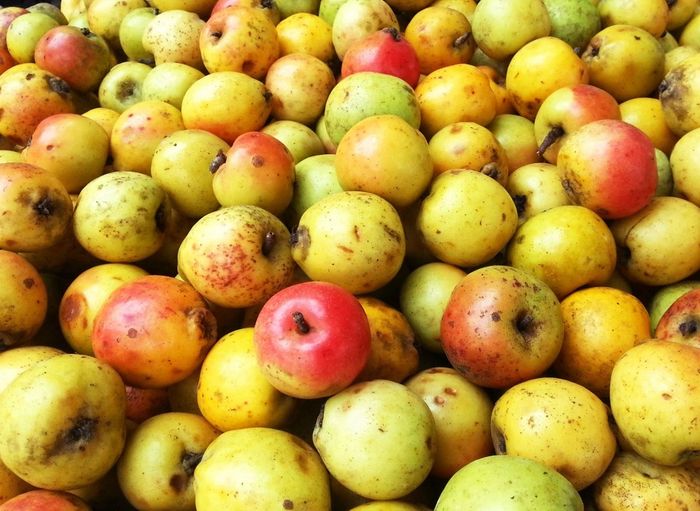 Bật mí Kinh nghiệm khám phá bản Lìm Mông chi tiết nhất 7