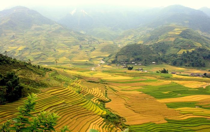 Ngất ngây trước kiệt tác ruộng bậc thang Mù Cang Chải 6