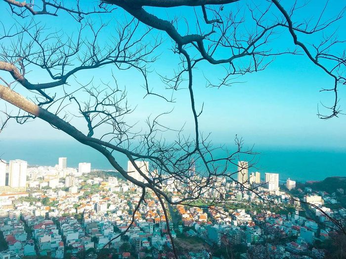 Ơ hay! Một ngày ở Vũng Tàu cũng đủ để trải nghiệm nhiều điều thú vị đấy nhỉ 3