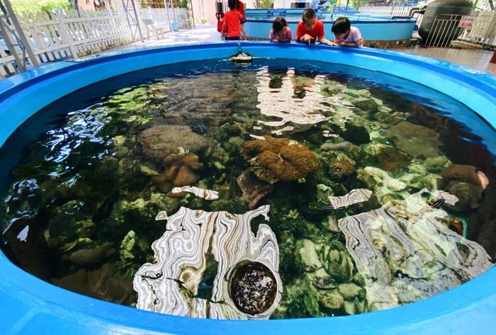 Bảo tàng Hải Dương Học Nha Trang - Đại dương thu nhỏ giữa lòng thành phố 3