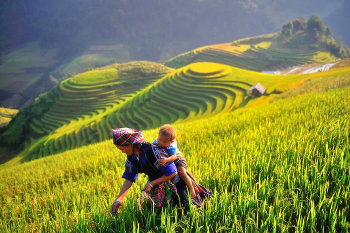 Lịch trình 3 ngày 2 đêm Mù Cang Chải dành cho những người muốn khám phá 5