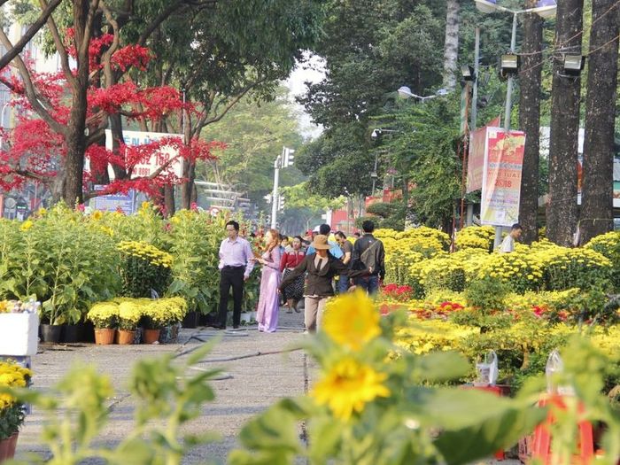 Top 10 chợ hoa Tết Sài Gòn sôi động nhất năm 2024