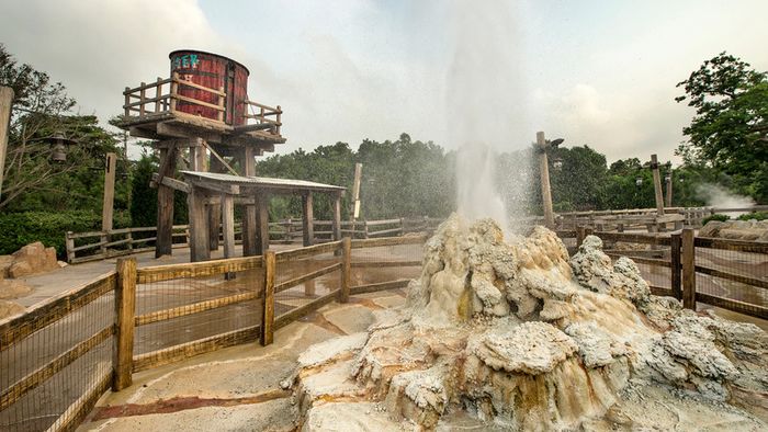 Disneyland Hong Kong, vùng đất của những điều kỳ diệu nằm giữa xứ Cảng Thơm 10
