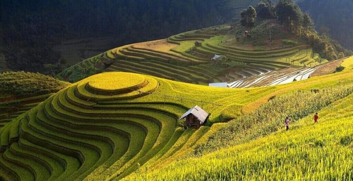 Chương trình khám phá Tú Lệ - Mù Cang Chải trong 3 ngày dành cho đội ngũ mê phượt 8