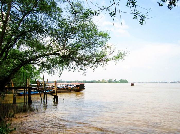 Khám phá những đặc điểm độc đáo của tứ linh cồn Long Lân Quy Phụng cùng nhóm bạn thân