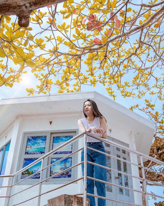Bí quyết chọn địa điểm check-in tại Vũng Tàu để không muốn rời đi lần nữa