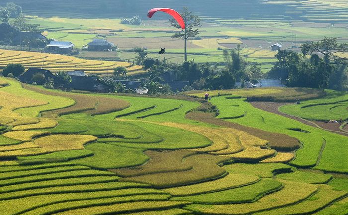Chương trình khám phá Tú Lệ - Mù Cang Chải trong 3 ngày dành cho đội ngũ mê phượt 7