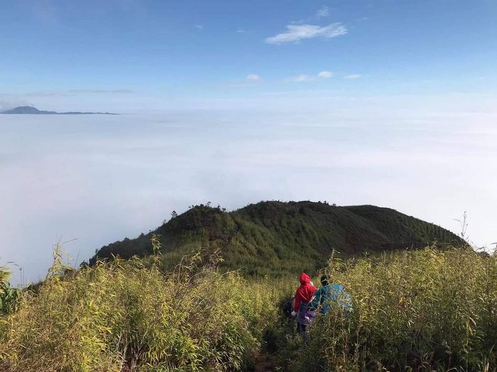 Hướng dẫn trekking Tà Xùa - Yên Bái 3 dễ dàng hơn bao giờ hết