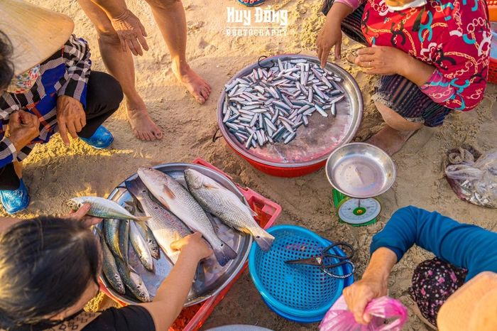 Nghề đánh cá tại Bãi Sau Vũng Tàu, nét đẹp lao động qua nhiều thế hệ