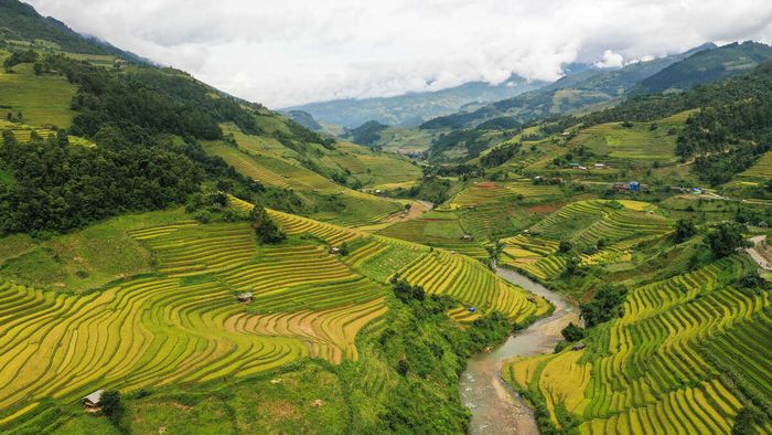 Mê mải trước sự kiệt tác của ruộng bậc thang Mù Cang Chải 3