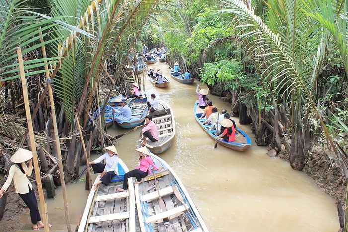 Khám phá đặc điểm của tứ linh cồn Long Lân Quy Phụng cùng nhóm bạn thân