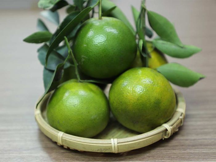 Danh sách các loại trái cây đặc sản từ Cái Bè thơm ngon nổi tiếng 4
