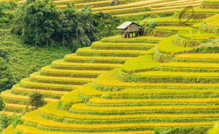 Đánh giá Mù Cang Chải - Bình yên trong những bản làng vùng cao 2