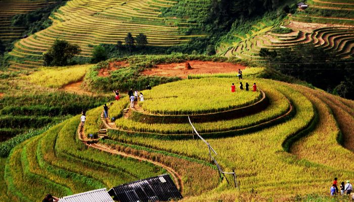 Khám phá Đồi Mâm Xôi, điểm check-in lý tưởng của giới trẻ