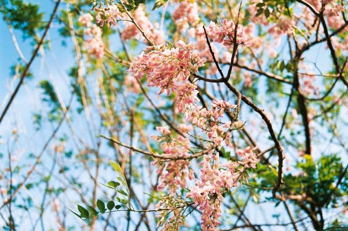 Công viên nước Vũng Tàu - Bơi trên núi, trải nghiệm mới lạ! 3