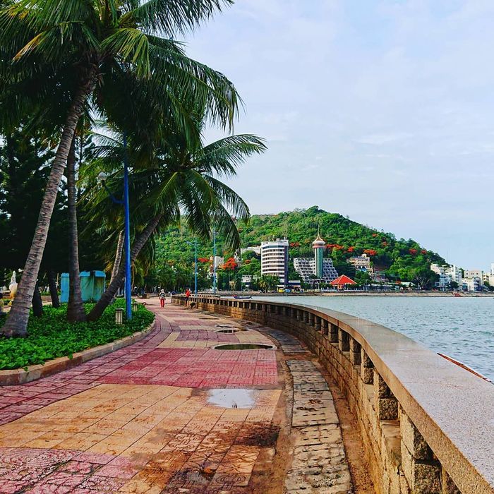 Bãi Trước Vũng Tàu (Bãi Tầm Dương) - Nơi hội tụ đa dạng các hoạt động giải trí tại Vũng Tàu 4