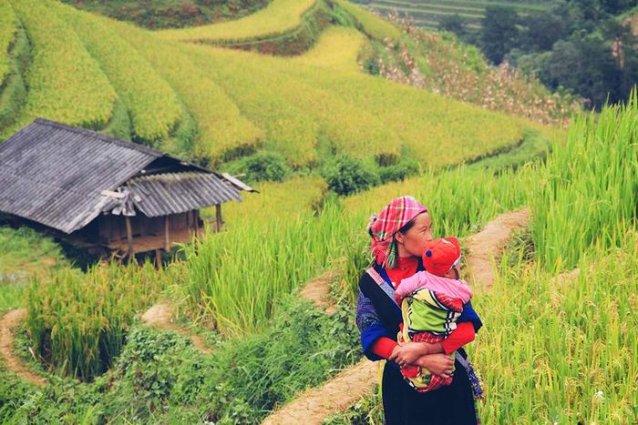 Bí quyết du lịch Mù Cang Chải tự túc từ A đến Z 11