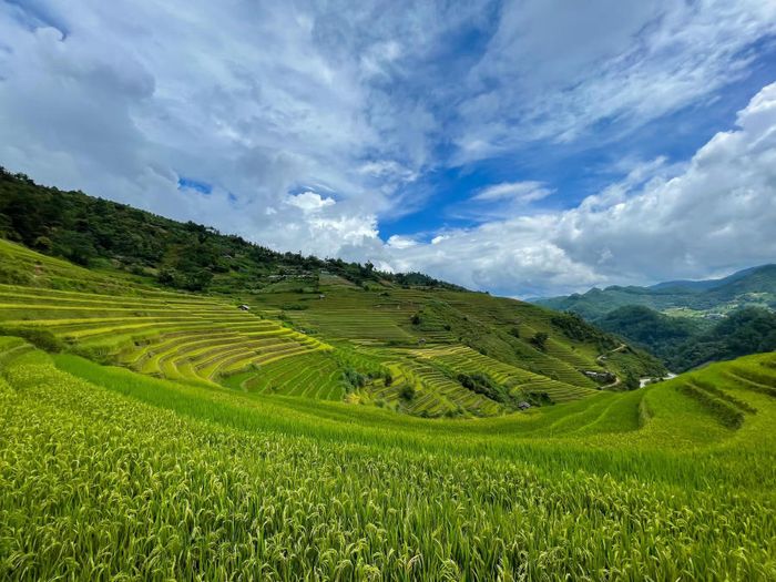 Khám phá Mù Cang Chải và khám phá mọi điểm đến hấp dẫn