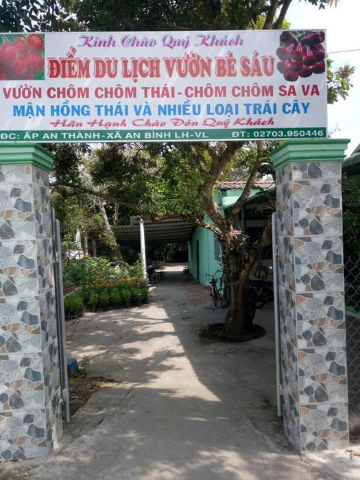 Cùng check-in tại Cù lao An Bình mùa trái chín và tạo ra những bức ảnh siêu xinh.