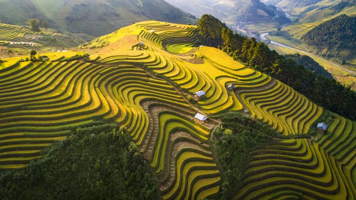 Chương trình khám phá Tú Lệ - Mù Cang Chải trong 3 ngày dành cho đội ngũ mê phượt 2