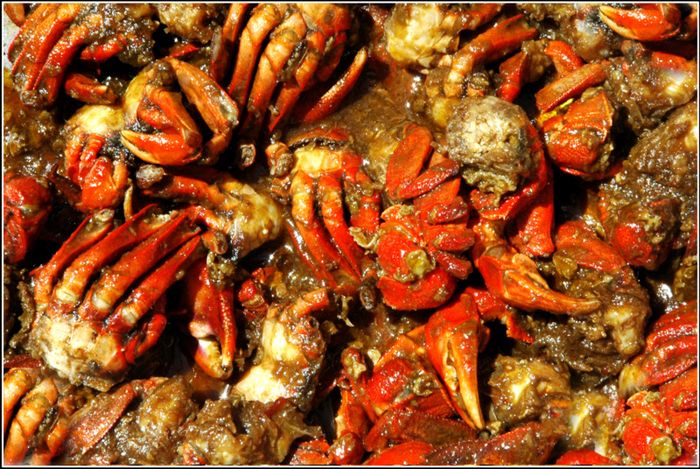Con chù ụ: Đặc sản “cua mặt sầu” ngon nức tiếng Trà Vinh 4