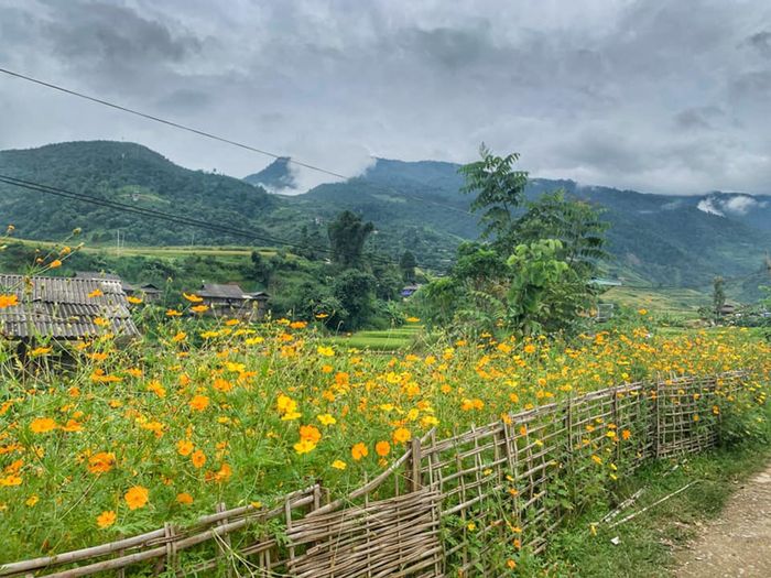Chương trình khám phá Mù Cang Chải 3 ngày 2 đêm và những trải nghiệm không thể quên 11