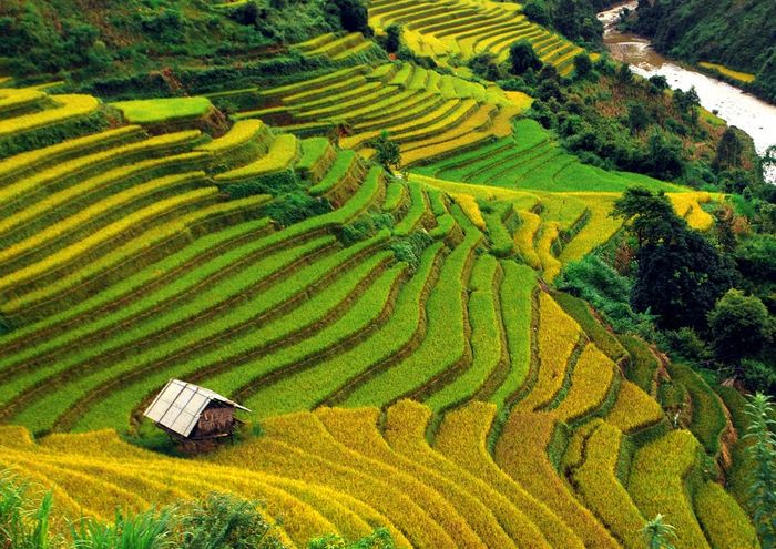 Lịch trình 3 ngày 2 đêm Mù Cang Chải dành cho những người muốn khám phá 4