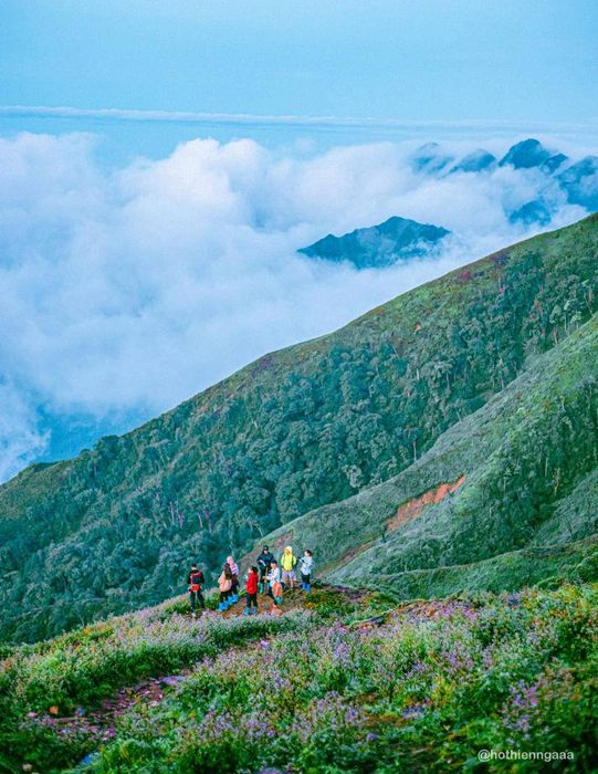 Chinh phục ngọn núi Tà Chì Nhù hùng vĩ kết hợp với rừng hoa chi pâu thơ mộng 5