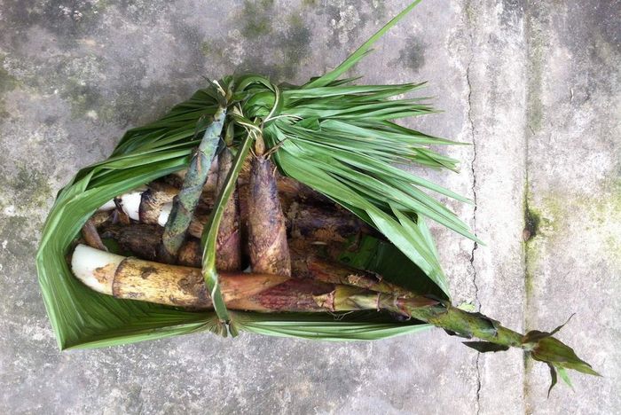 Vị độc đáo của Măng vầu cuốn thịt ở Yên Bái 2