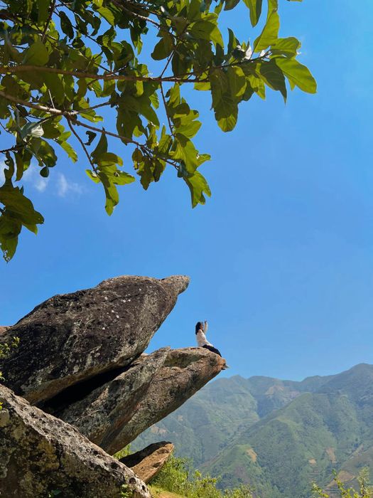Tìm đến Tà Xùa để tìm lại phần nào của bình yên giữa cuộc sống hối hả của thành phố.