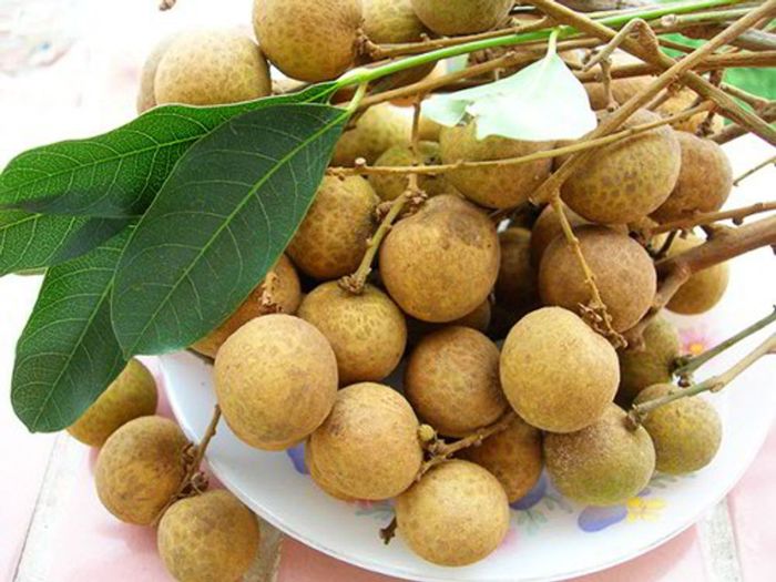 Tổng hợp Kinh nghiệm du lịch Tiền Giang tự túc từ A đến Z 3