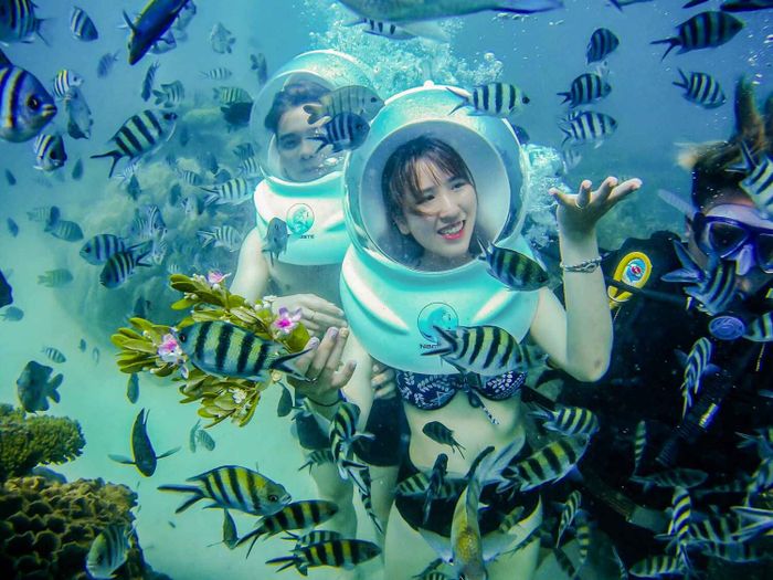 Khám phá kỳ nghỉ lặn san hô tuyệt vời tại Vũng Tàu cùng Mytour.vn