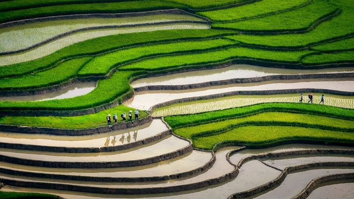 Bật mí Kinh nghiệm khám phá bản Lìm Mông chi tiết nhất 4