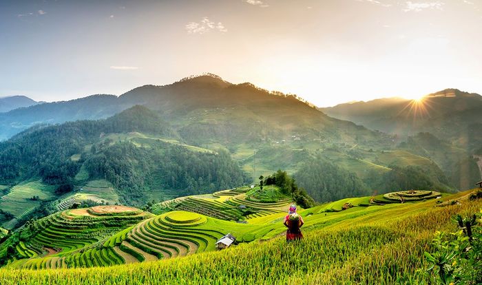 Mê mải trước sự kiệt tác của ruộng bậc thang Mù Cang Chải 5