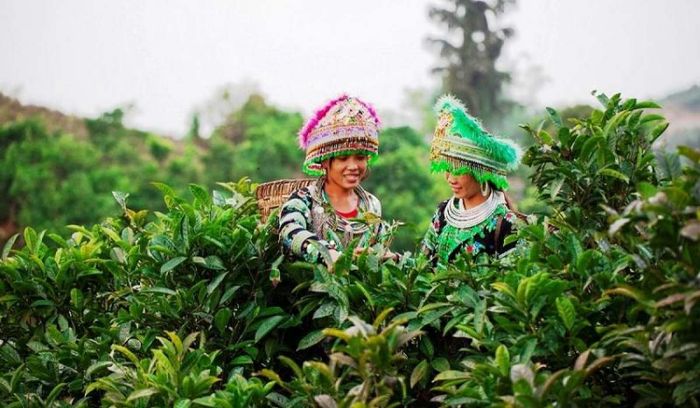 Lịch trình Mù Cang Chải 2 ngày giá rẻ chi tiết nhất dành cho bạn 2