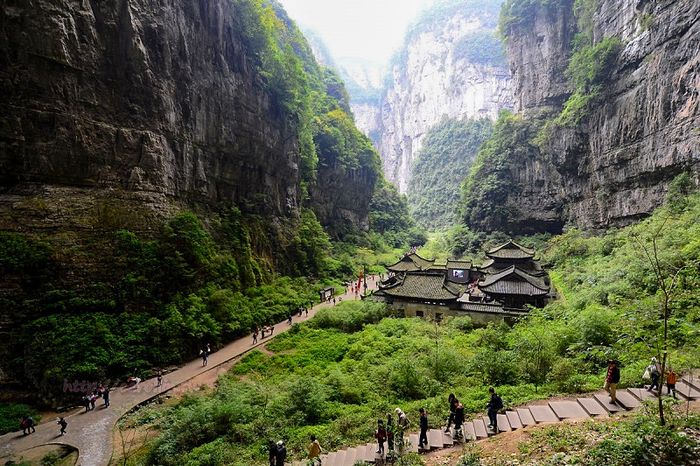 Khám phá vùng đất phong phú của gấu trúc ở Tứ Xuyên 3