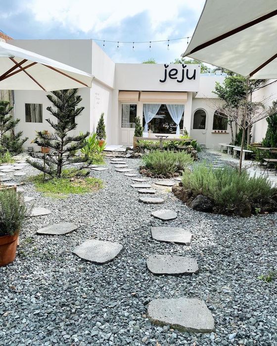 Jeju Coffee, ốc đảo xinh đẹp nằm phía sau cánh cửa