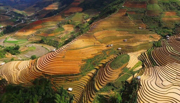 Chương trình khám phá Tú Lệ - Mù Cang Chải trong 3 ngày dành cho đội ngũ mê phượt 9