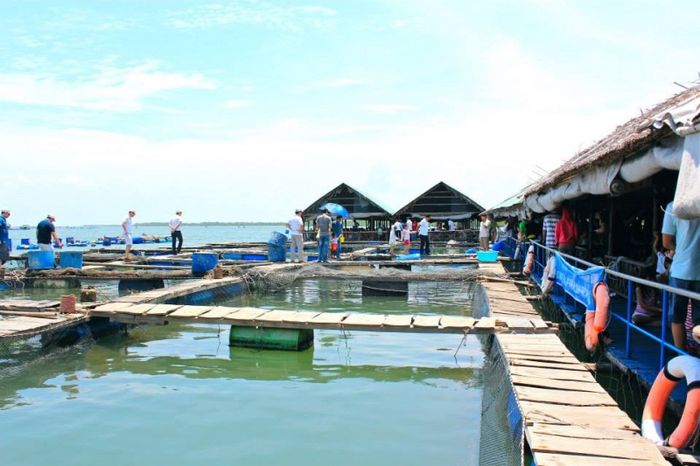 Bí quyết trải nghiệm Vũng Tàu cùng đối tác từ A đến Z 3