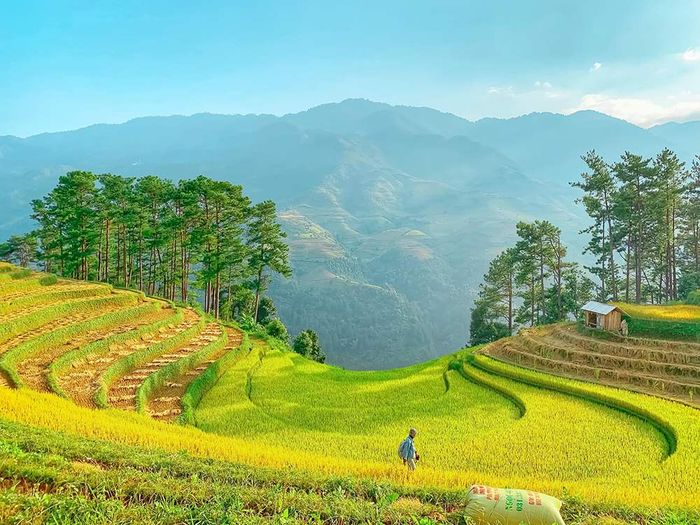 Đánh giá về Mù Cang Chải - Vẻ đẹp tự nhiên trong sáng 6